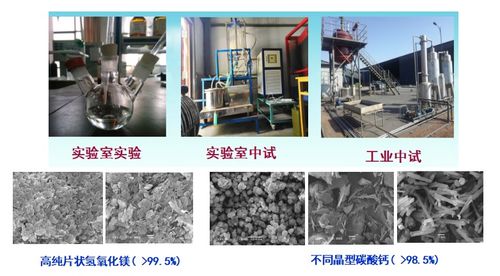 电石净化灰渣资源化利用制备高纯氧化镁和碳酸钙技术与非常规水源利用技术研发